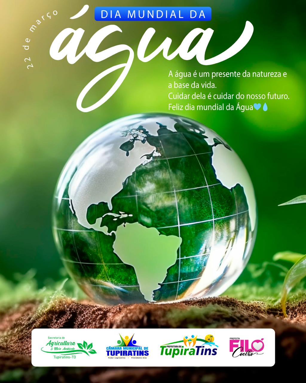 O Rio Tocantins e Nossa Responsabilidade com a Água.